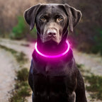 Luminous Anti-Lost Dog Collar USB Rechargeable Dog Led Light