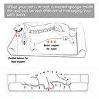 Dog Bed Cushion with Removable Washable Cover Soft Sponge Foam