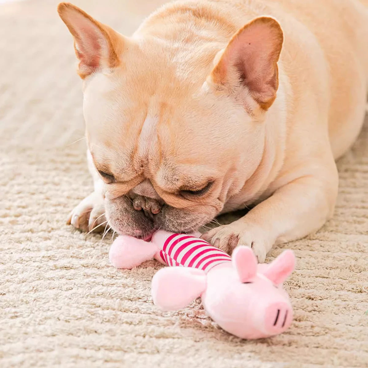 3/1Pack Animal Squeaky Toys for Dogs