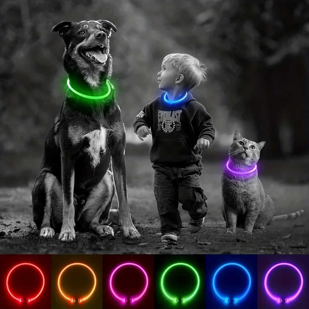Luminous Anti-Lost Dog Collar USB Rechargeable Dog Led Light