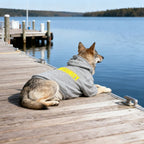 Pet Hoodie for Medium To Large Dogs |Warmth and Breathability