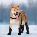 Best Anti-Slip Dog Shoes For Pets