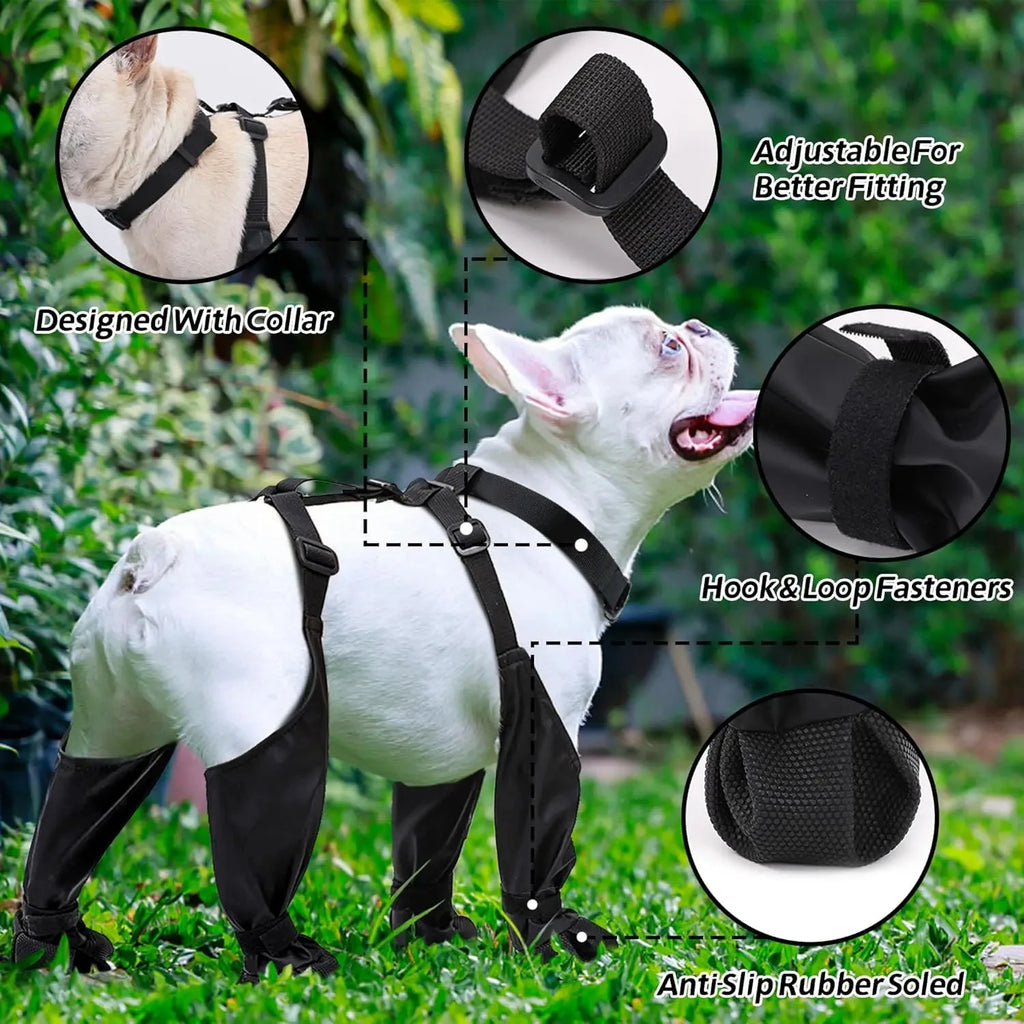 Best Anti-Slip Dog Shoes For Pets