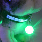 Pet Luminous Night Light Collar LED Pendant