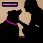 Luminous Anti-Lost Dog Collar USB Rechargeable Dog Led Light