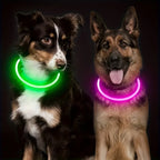 Luminous Anti-Lost Dog Collar USB Rechargeable Dog Led Light