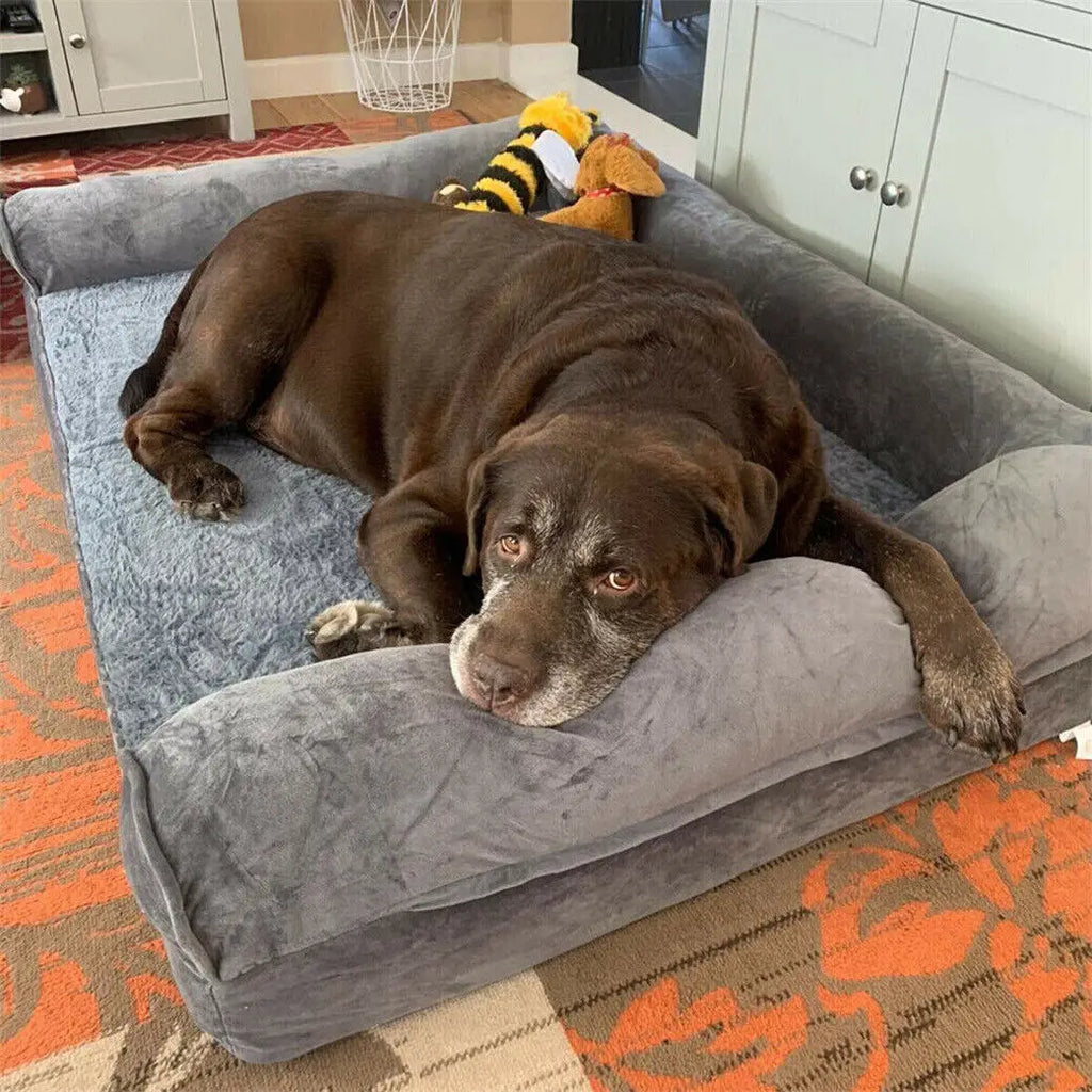 Dog Bed Cushion with Removable Washable Cover Soft Sponge Foam