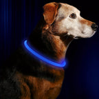 Luminous Anti-Lost Dog Collar USB Rechargeable Dog Led Light