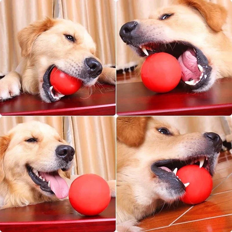Bite Resistant Indestructible Solid Bouncy Rubber Balls for Dogs