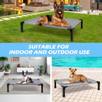 Elevated Washable Breathable Mesh Dog Bed