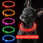 Luminous Anti-Lost Dog Collar USB Rechargeable Dog Led Light