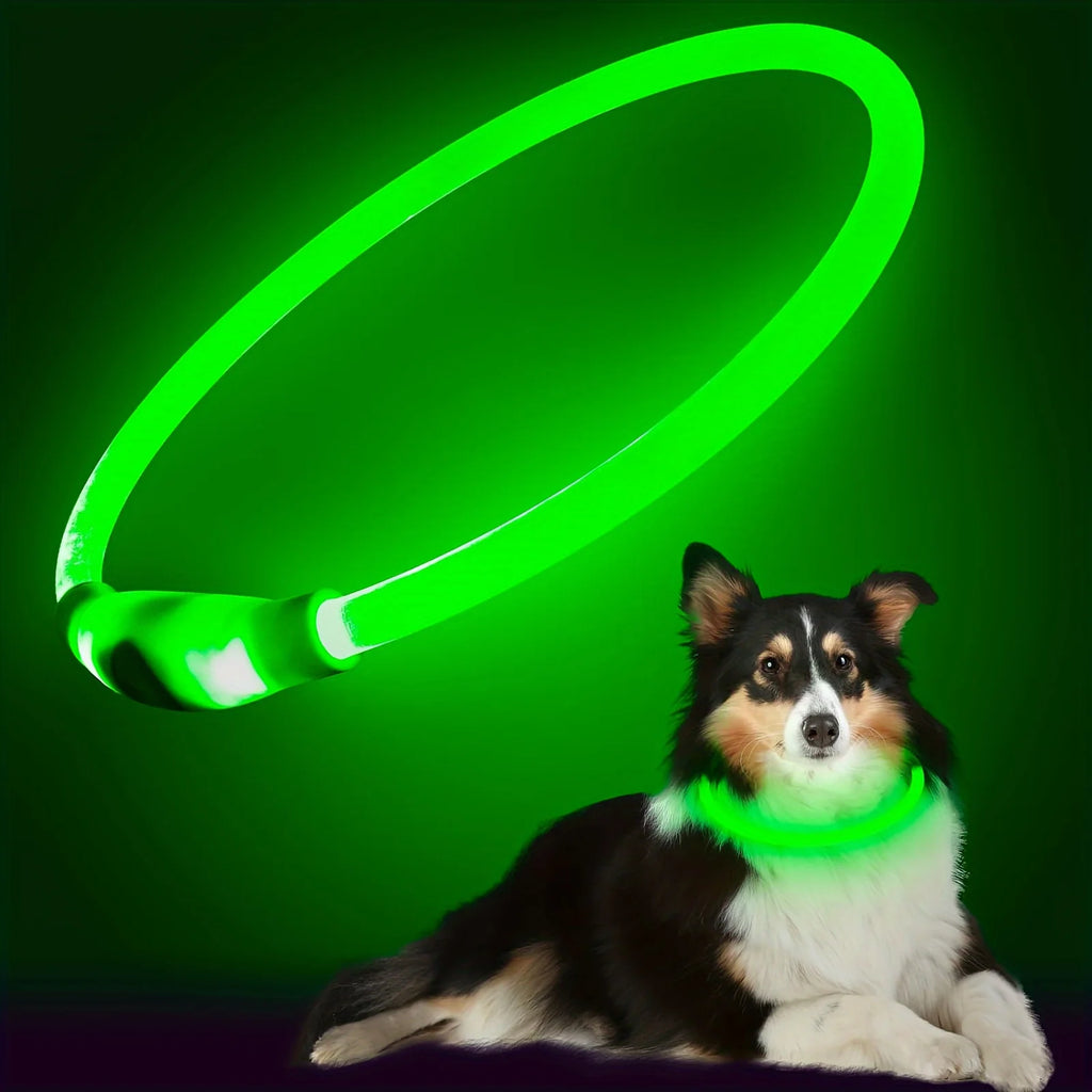 Luminous Anti-Lost Dog Collar USB Rechargeable Dog Led Light