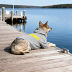 Pet Hoodie for Medium To Large Dogs |Warmth and Breathability