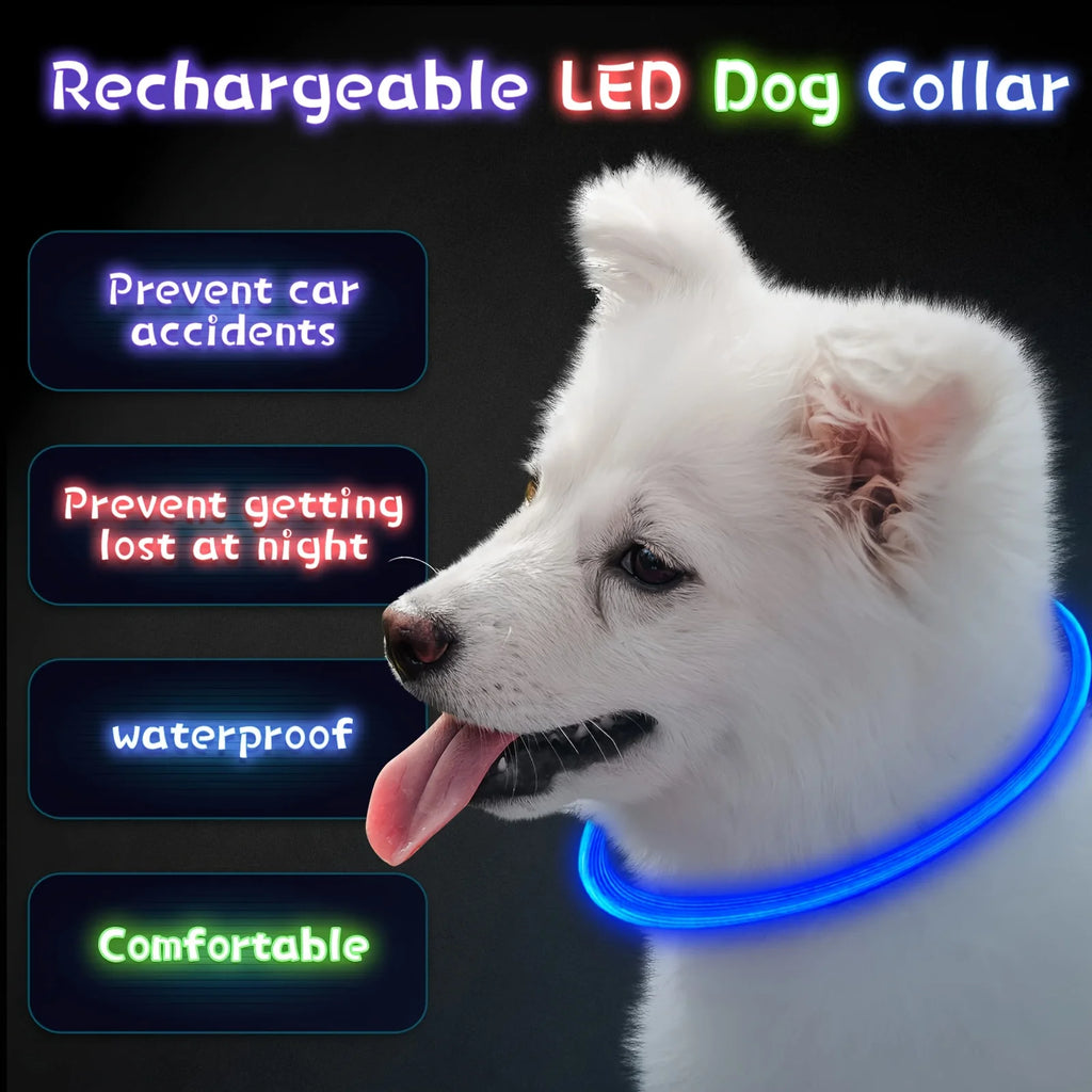 Luminous Anti-Lost Dog Collar USB Rechargeable Dog Led Light