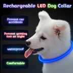 Luminous Anti-Lost Dog Collar USB Rechargeable Dog Led Light
