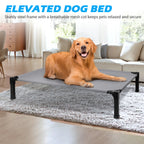 Elevated Washable Breathable Mesh Dog Bed