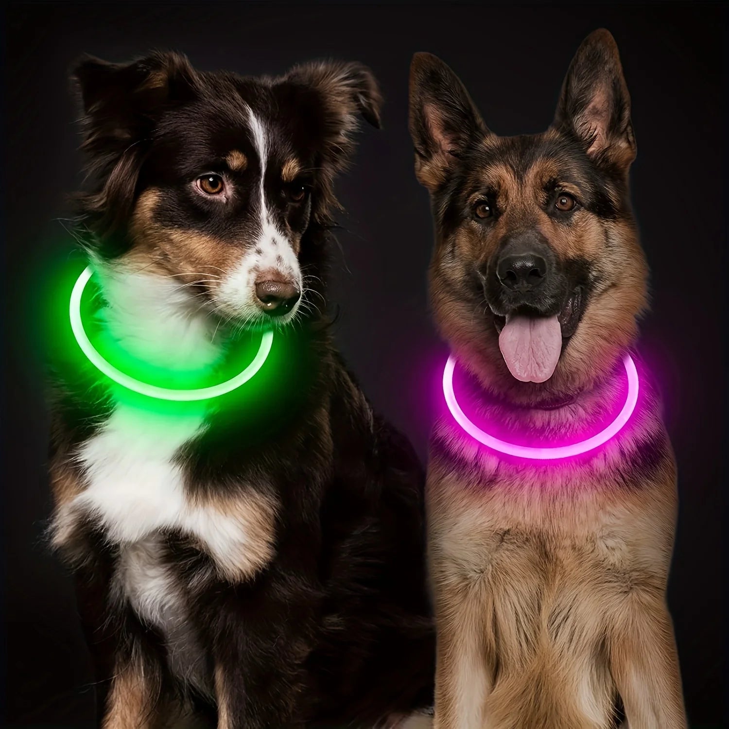 Luminous Anti-Lost Dog Collar USB Rechargeable Dog Led Light