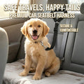 Adjustable 20cm 2-in-1 Nylon Pet Car Seat Belt Leash