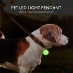 Pet Luminous Night Light Collar LED Pendant