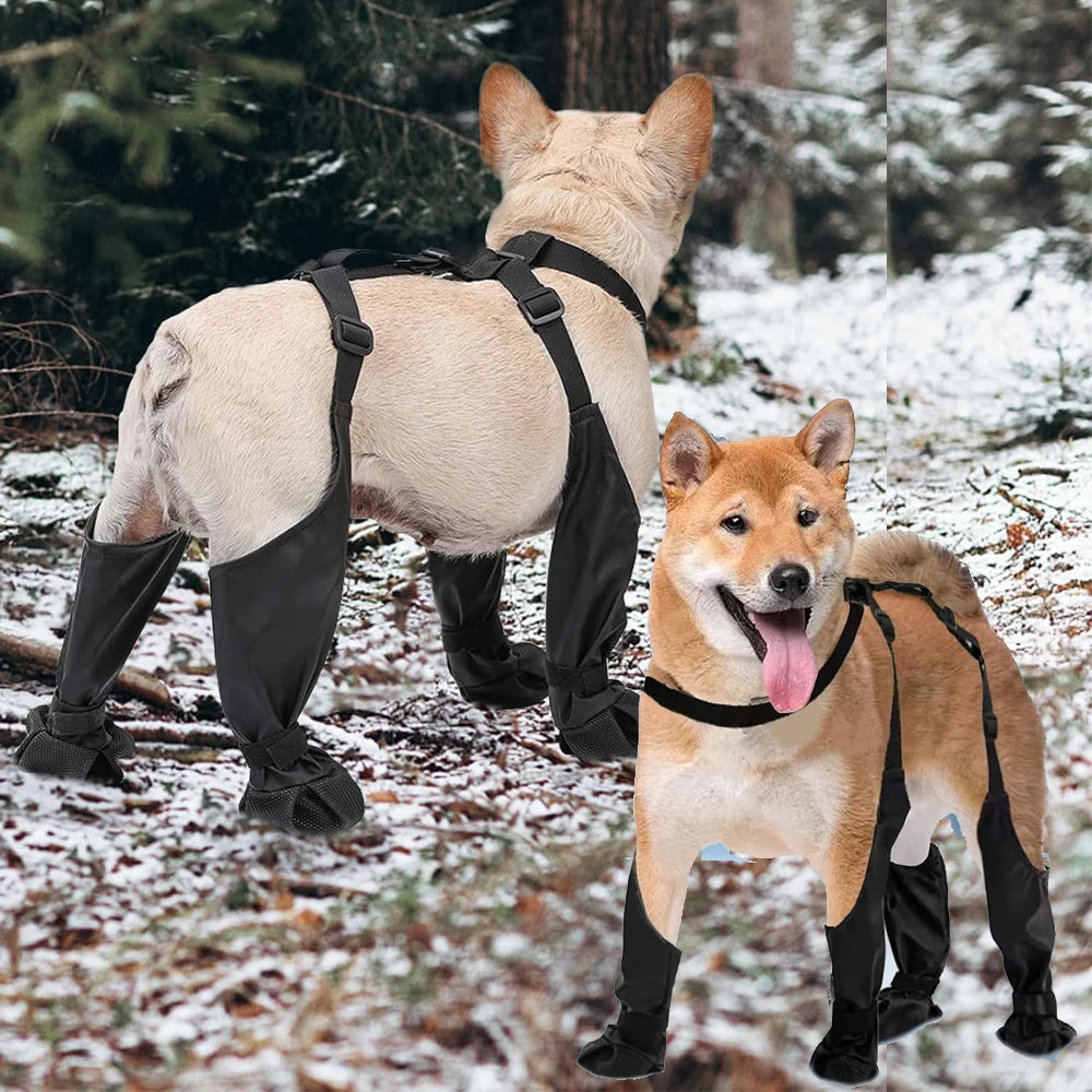 Best Anti-Slip Dog Shoes For Pets