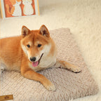 3D Foam Pet Bed With Removable Washable Waterproof Faux Cover