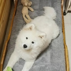 Oversized Rectangle Plush Pet Bed, Soft Polyester