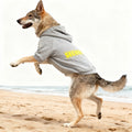 Pet Hoodie for Medium To Large Dogs |Warmth and Breathability
