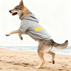 Pet Hoodie for Medium To Large Dogs |Warmth and Breathability