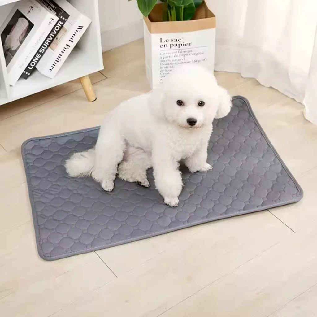 Winter Waterproof Reusable Washable Dog Pee Pad