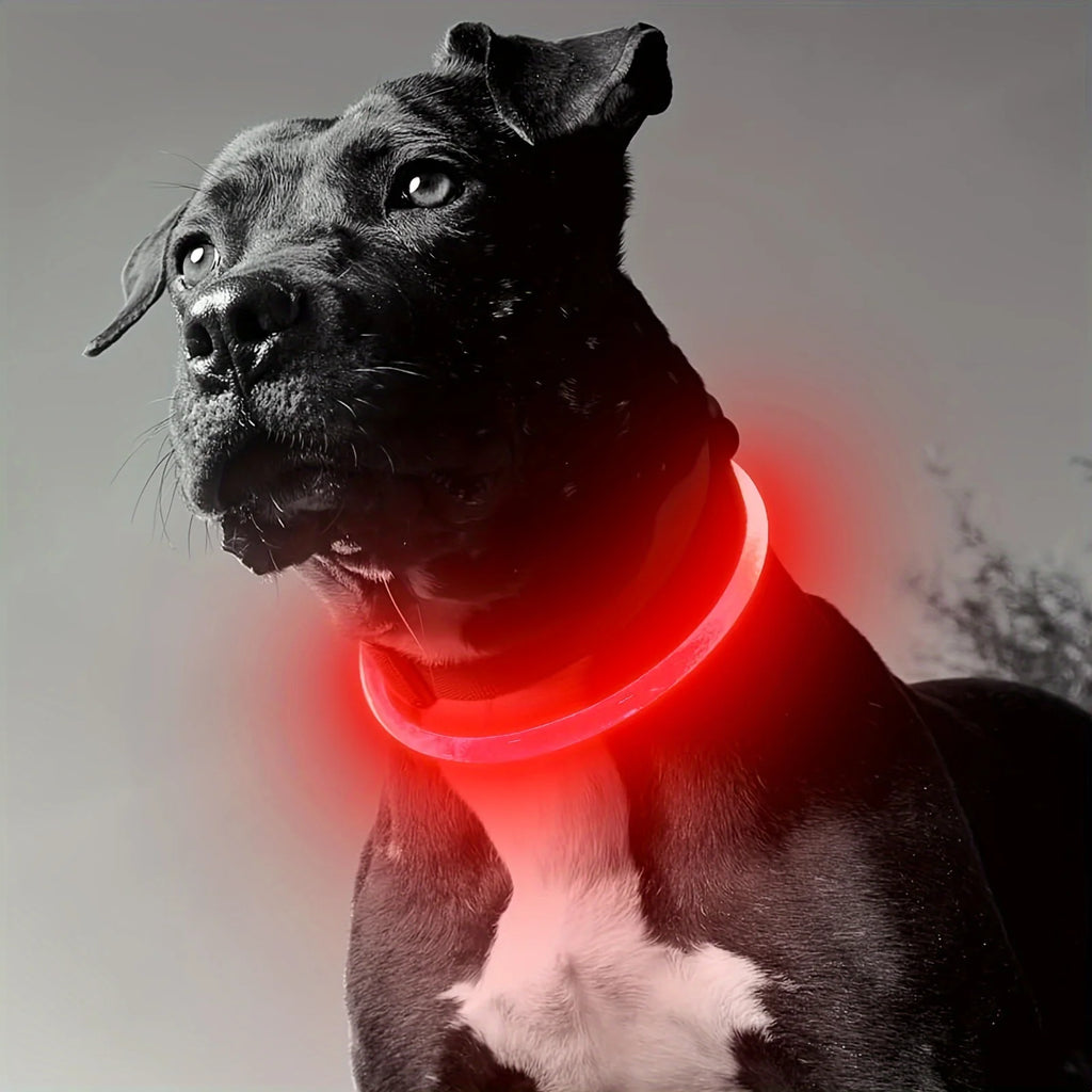 Luminous Anti-Lost Dog Collar USB Rechargeable Dog Led Light