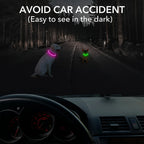 Luminous Anti-Lost Dog Collar USB Rechargeable Dog Led Light
