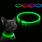 Luminous Anti-Lost Dog Collar USB Rechargeable Dog Led Light