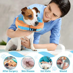 Soft Inflatable Dog Collar Post-Surgery Recovery Donut, Stops Licking Wounds