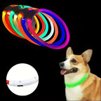 Luminous Anti-Lost Dog Collar USB Rechargeable Dog Led Light