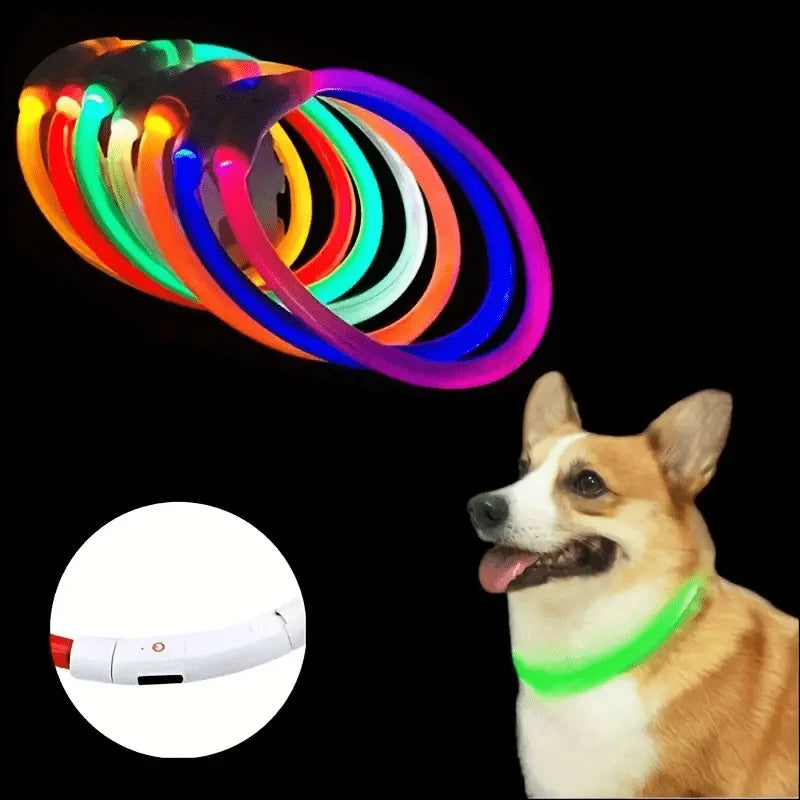 Luminous Anti-Lost Dog Collar USB Rechargeable Dog Led Light